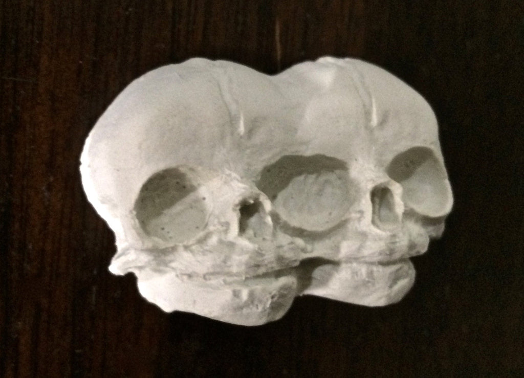 Conjoined Twins Skull  Magnet, Hand Painted Resin Sculpture | Gothic Fantasy Decor | Conjoined Skull Magnet for Fantasy and Gothic Decor