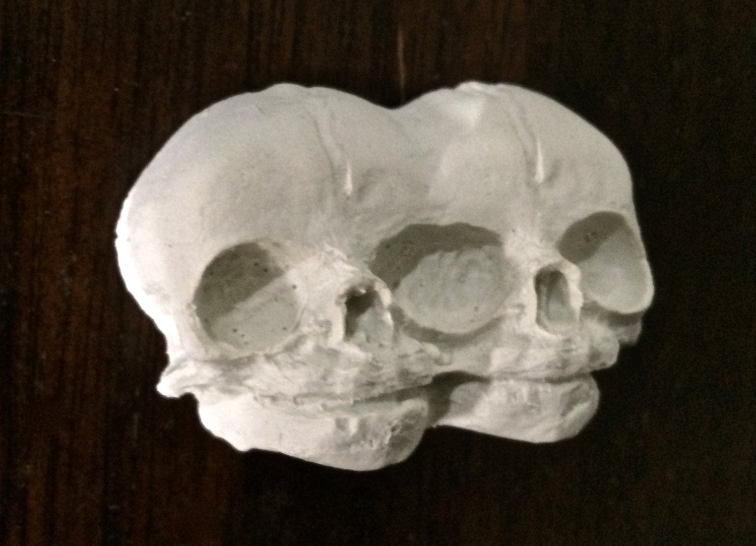 Conjoined Twins Skull  Magnet, Hand Painted Resin Sculpture | Gothic Fantasy Decor | Conjoined Skull Magnet for Fantasy and Gothic Decor