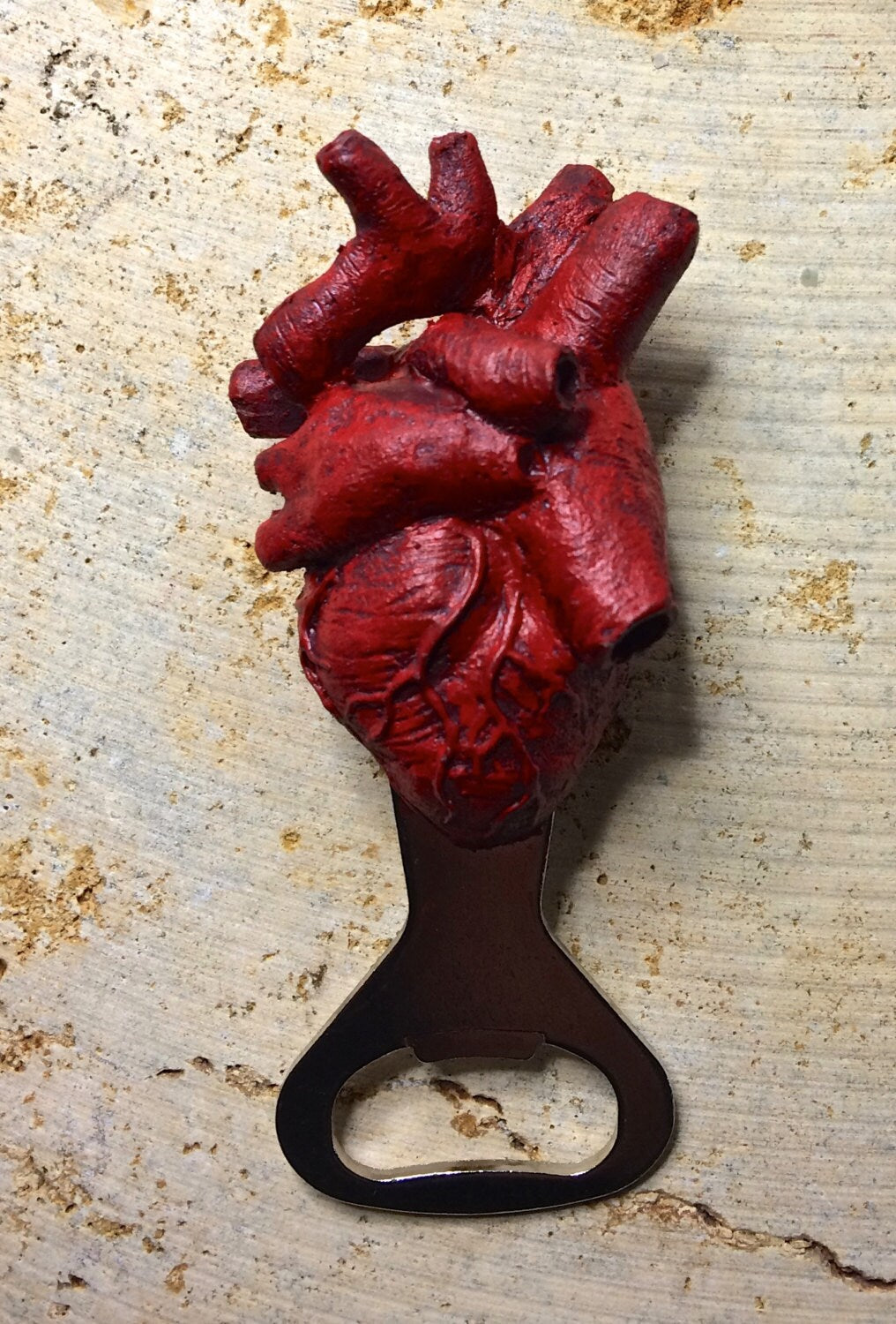 Anatomical Heart Bottle Opener, Hand Painted Resin | Gothic Medical Decor, Anatomy Heart Bottle Opener |Fantasy Gothic Beer and Barware Gift