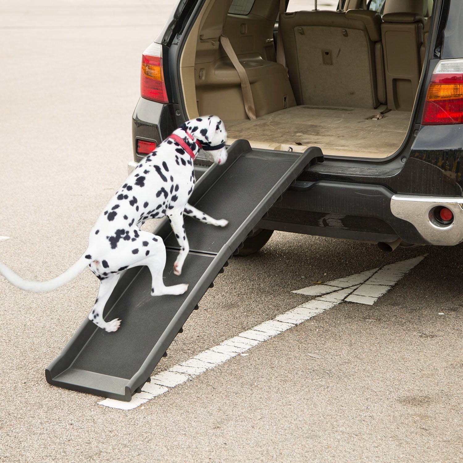 Foldable Pet Ramp Dog Car Ramp 176lbs Load Non-Skid Outdoor Travel Dog Car Ramp for Cars SUVs Trucks