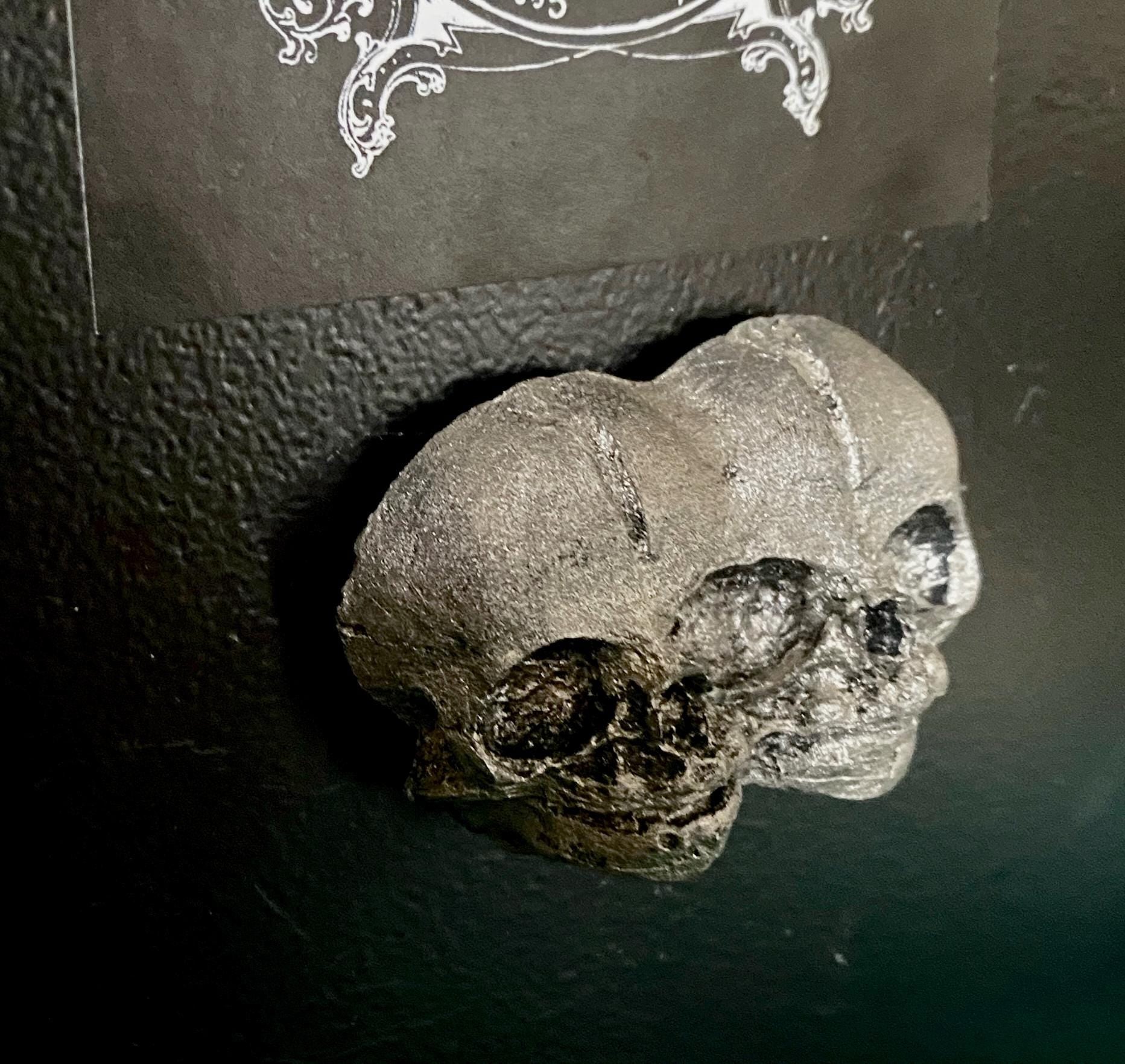 Conjoined Twins Skull  Magnet, Hand Painted Resin Sculpture | Gothic Fantasy Decor | Conjoined Skull Magnet for Fantasy and Gothic Decor