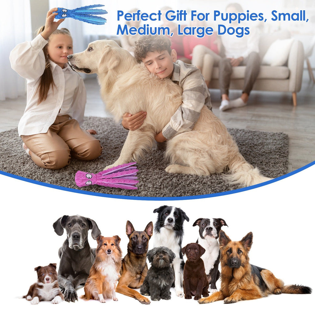 GBruno 2Pcs Squeaky Dog Toys