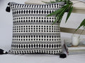 Black 22" X 22" Throw Pillow for couch with Tassels-Winter