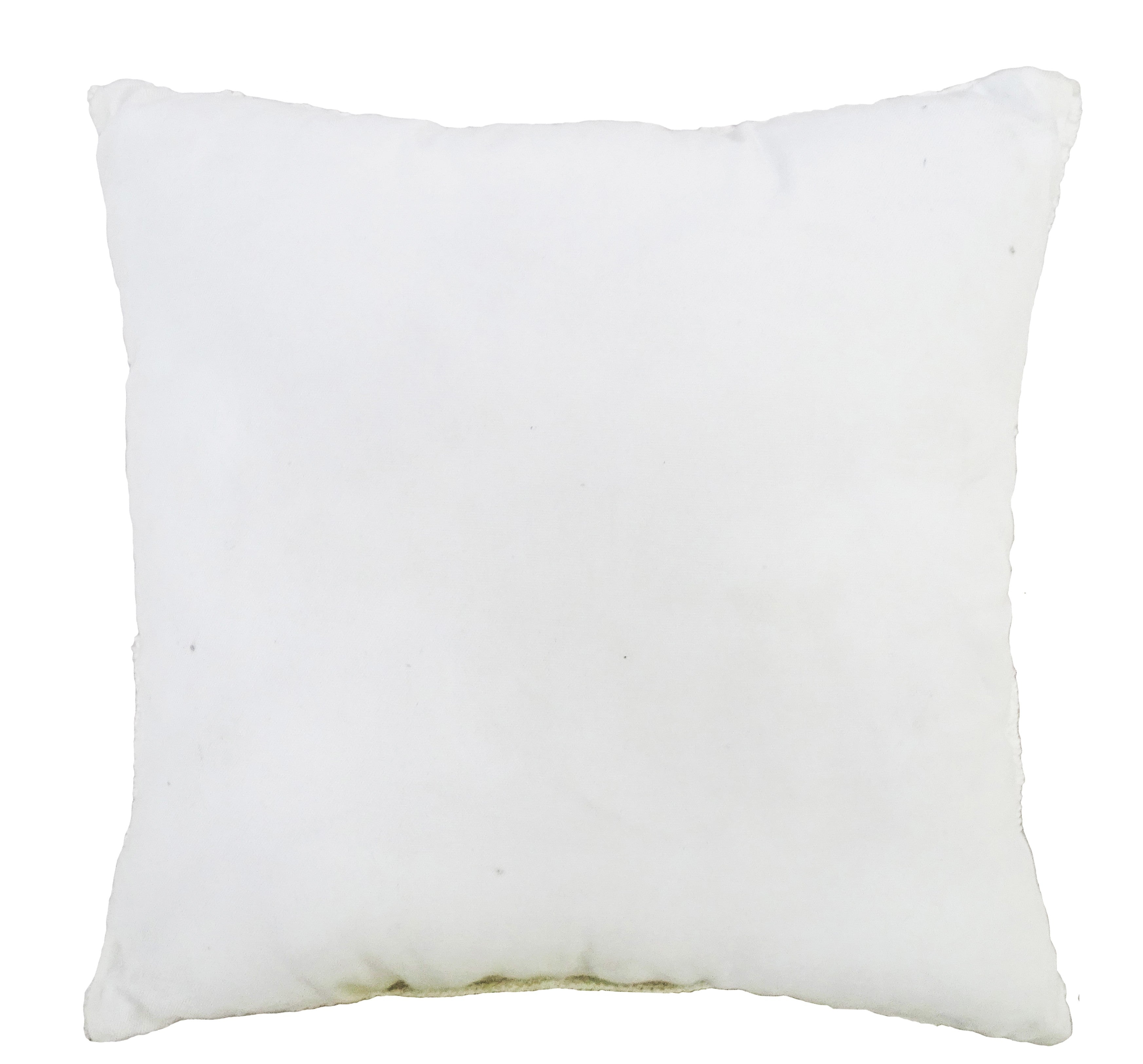 Decorative 18"x18" Outdoor Pillow for couch  (White)