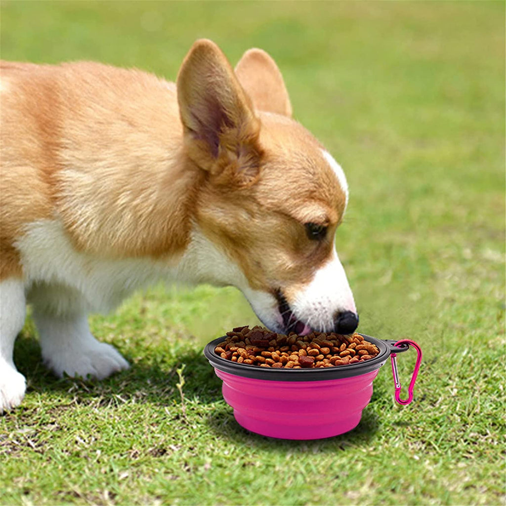 5" Portable and Foldable Small Dog Bowl-Purple set of 5