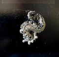 Kraken Tentacle Magnet, Pewter Finish