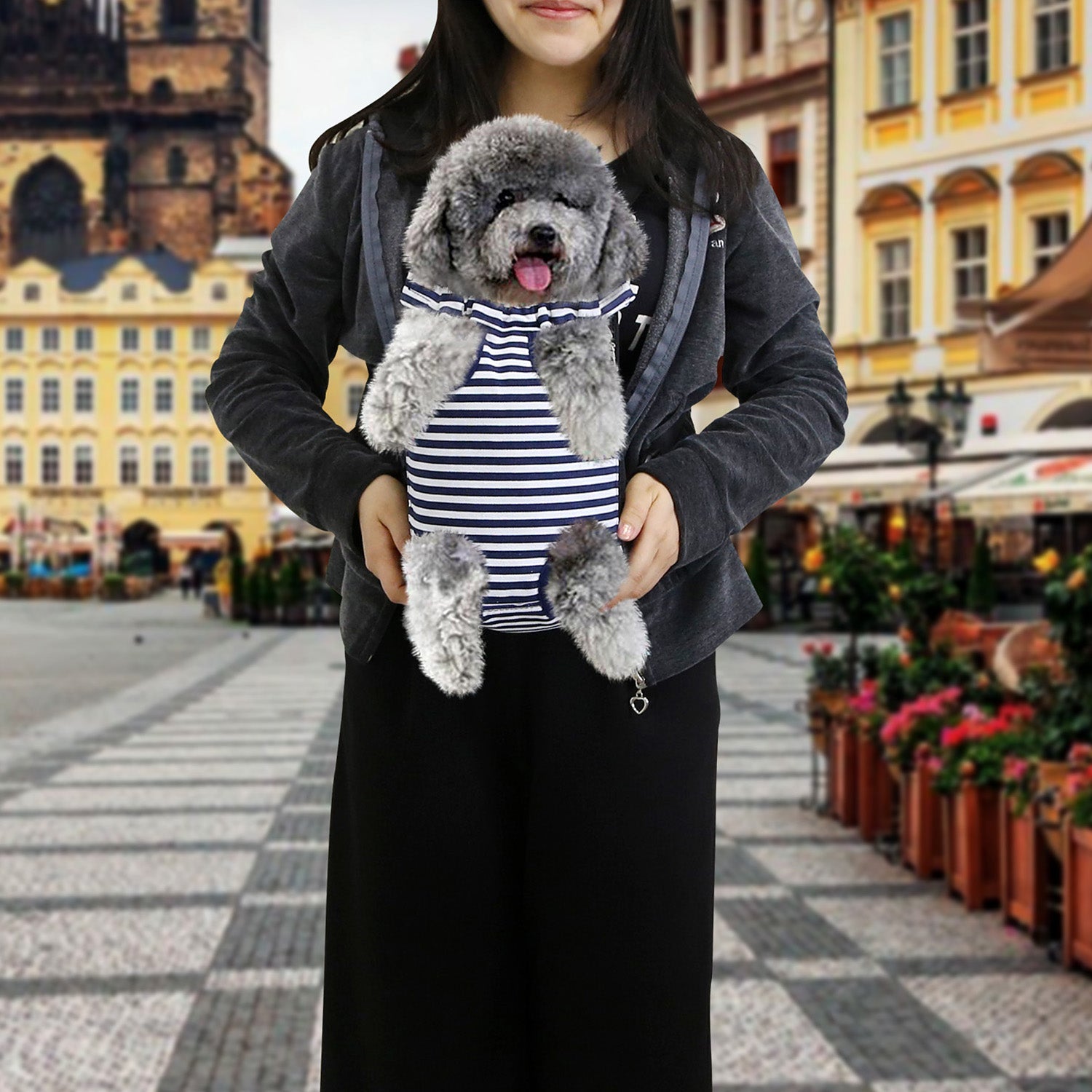 Dog Carrier Backpack Legs Out Front Pet Backpack Carrier Travel Bag Adjustable Shoulder Straps for Hiking Camping Shopping Biking