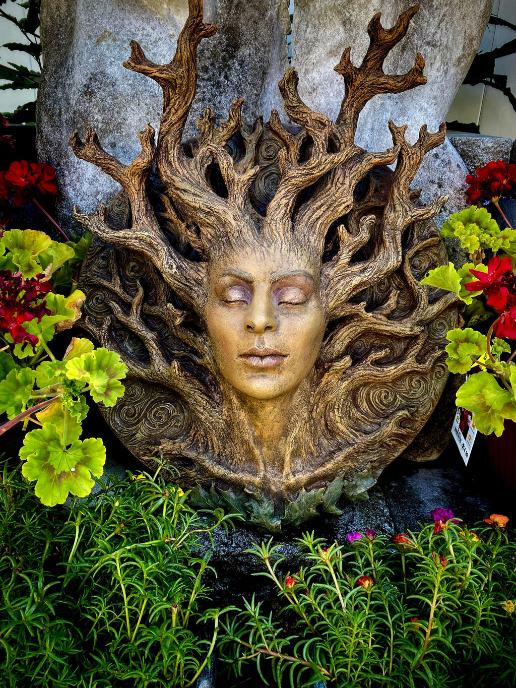 Dryad Bust, Life Sized Wall Plaque Resin Sculpture | Mythic Forest Creature Wall Art | Woodland Goddess Wall Plaque for Nature Lovers