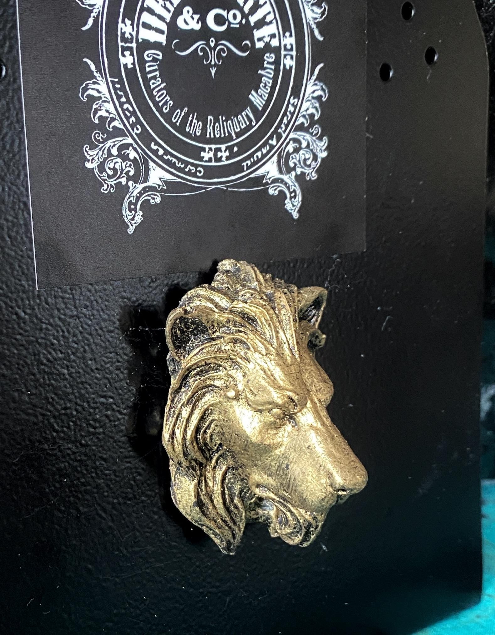 Lion's Head Magnet, Hand Painted Resin Sculpture | Mythic Fantasy Decor | Lion Magnet for Fantasy and Gothic Decor