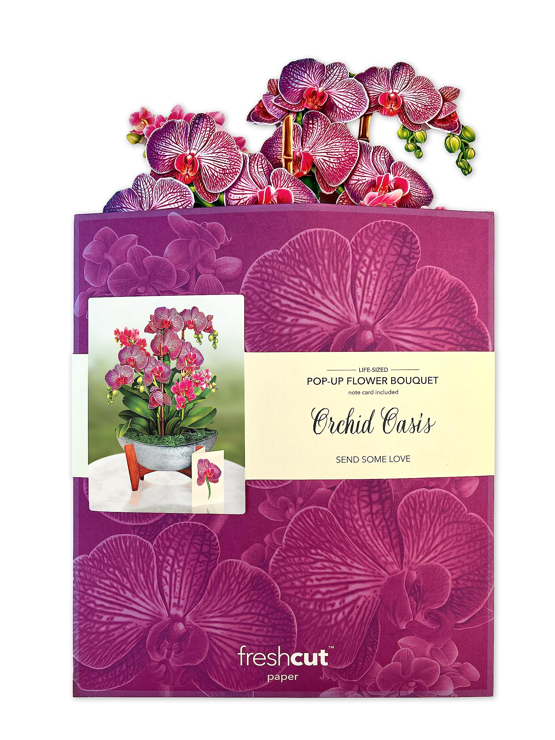 Freshcut Paper Pop Up Cards, 3D Popup Greeting Cards, 12 Inch Life Sized Forever