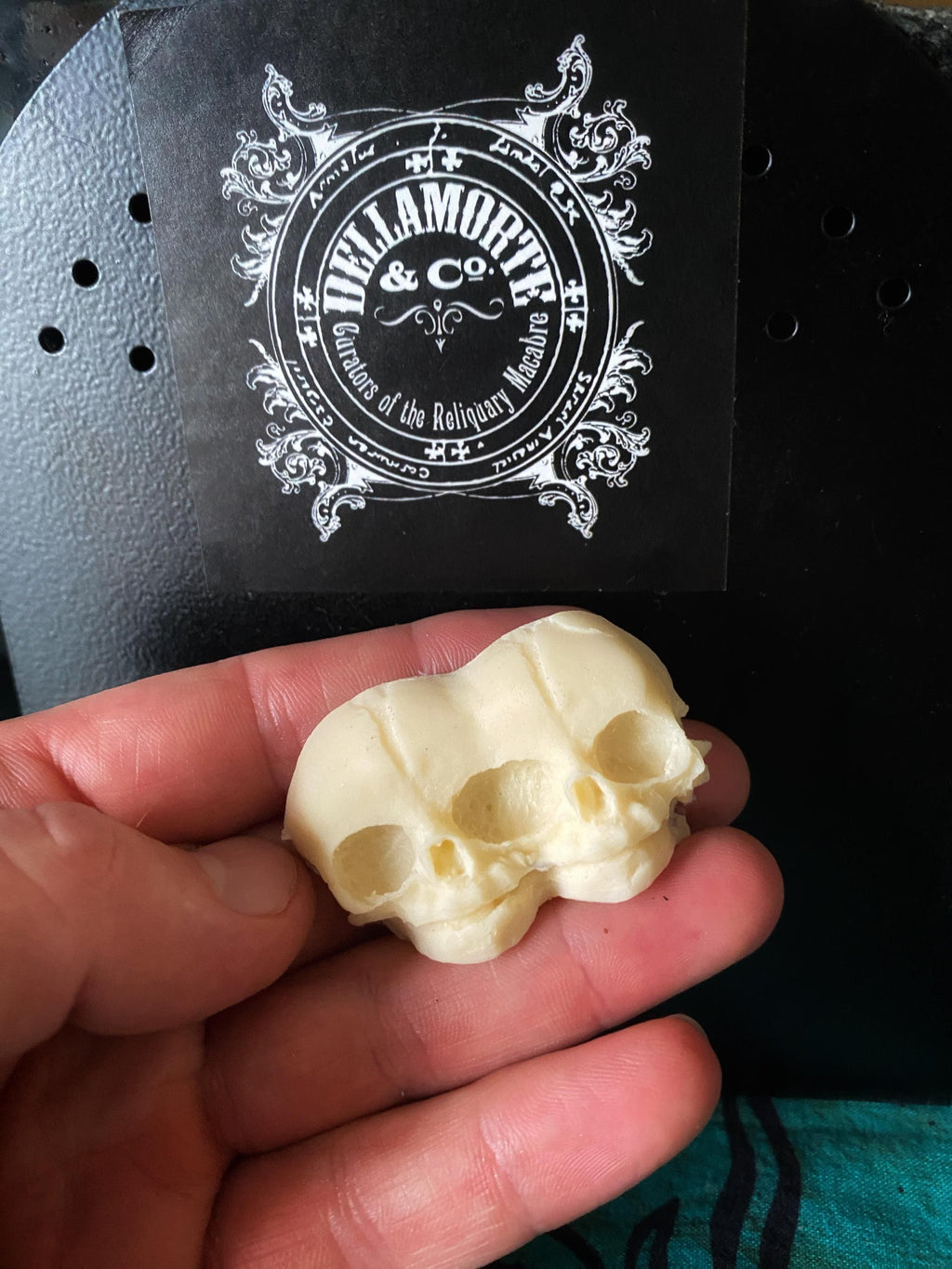 Conjoined Twins Skull  Magnet, Hand Painted Resin Sculpture | Gothic Fantasy Decor | Conjoined Skull Magnet for Fantasy and Gothic Decor