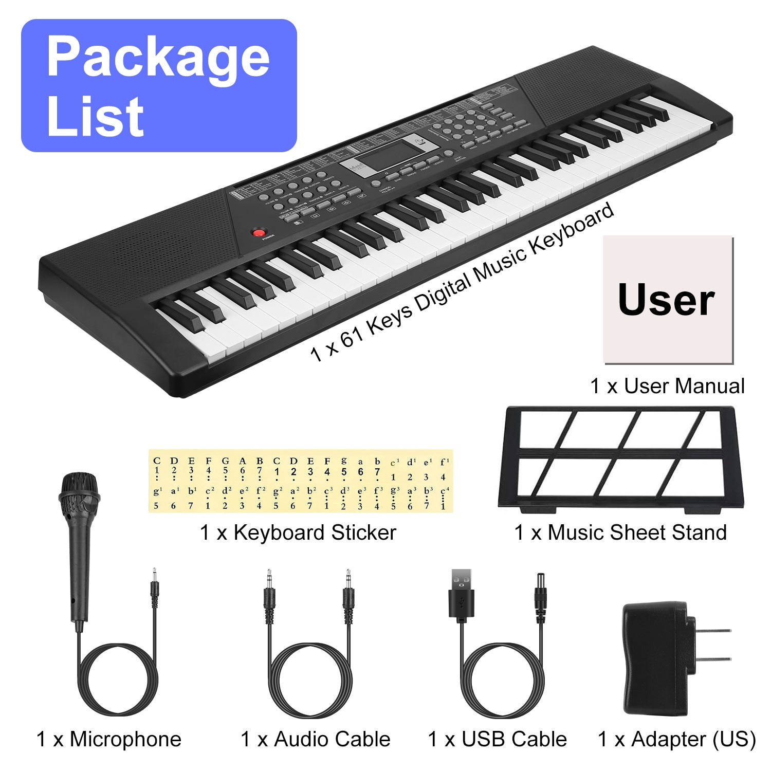 61 Keys Digital Music Keyboard Electric Piano Electronic Musical Instrument Kids Learning Keyboard with Microphone for 3-12 Year Old Kids Girls Boys