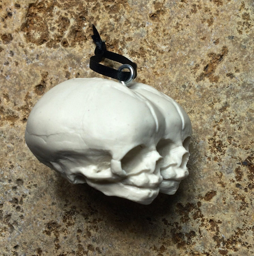Conjoined Twins Fetal Skull Ornament, Resin Sculpture | Gothic Fantasy Skull Figurine |Conjoined Skull Ornament for Fantasy and Gothic Decor