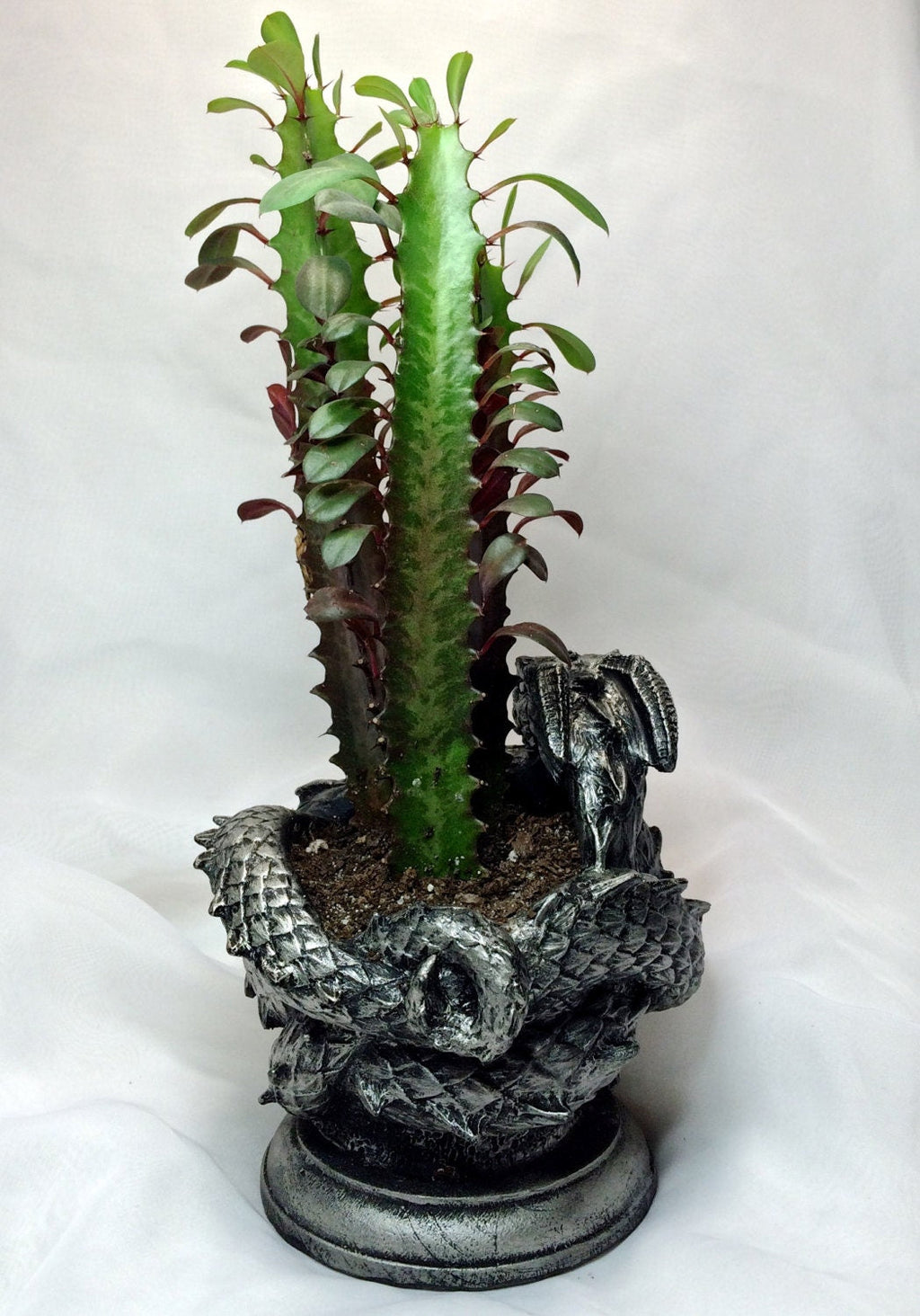 Coiled Dragon Planter, Pewter Finish |  Unique Mythic Creature Home Decor | Resin Sculpture Snake Vase, Fantasy Art and Gothic Home Decor
