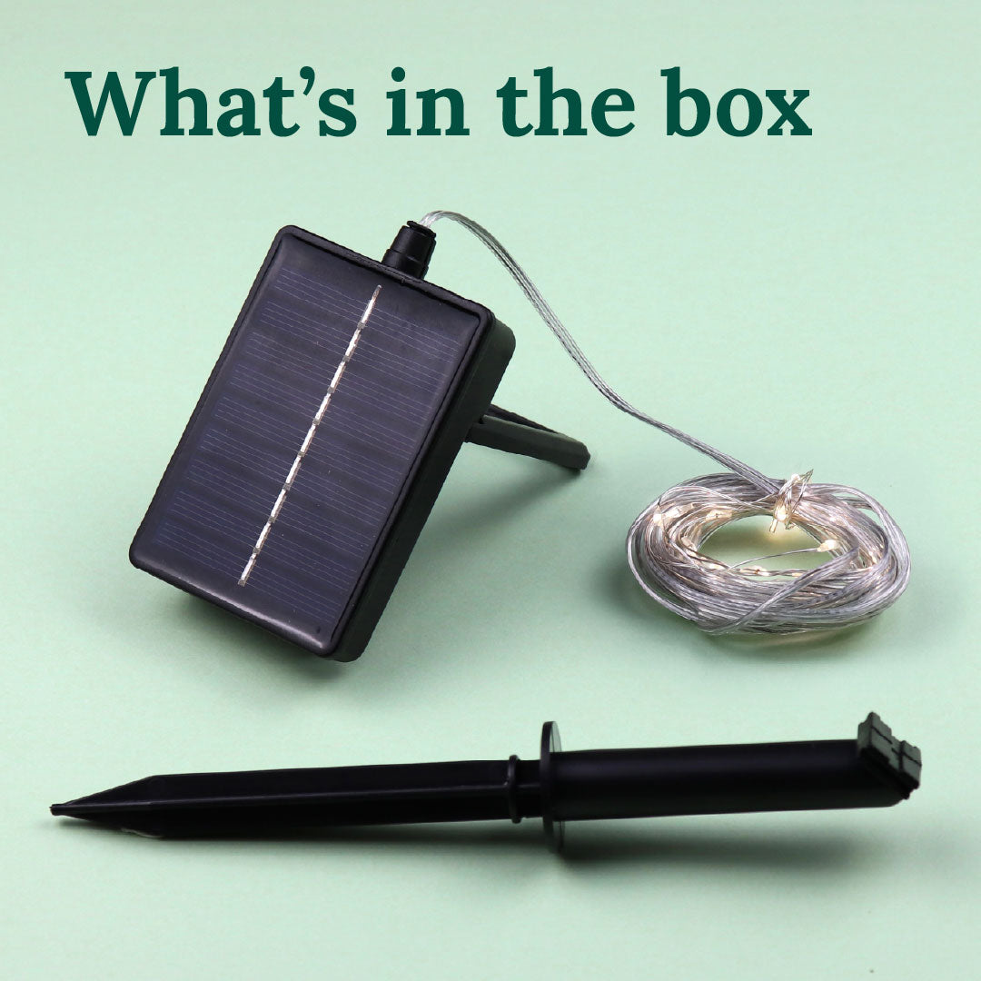 Solar LED Lights