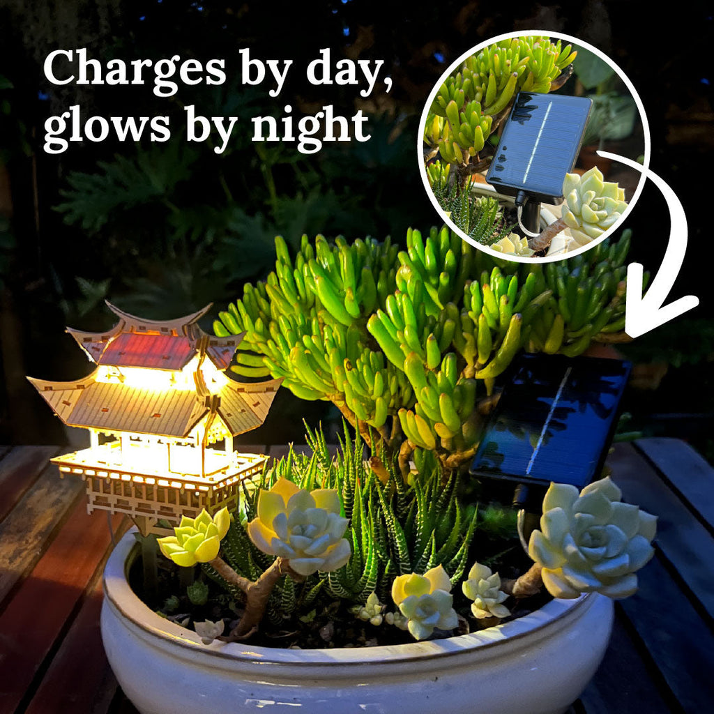 Solar LED Lights
