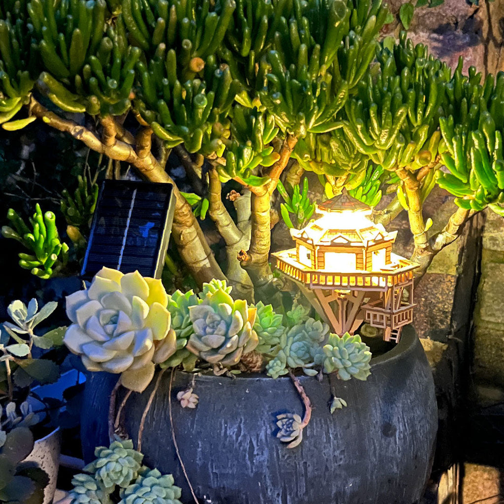 Solar LED Lights