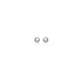 14k White Gold Spherical Stud Earrings (3.0 mm)