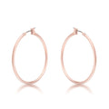 Elegant Hoop Earrings