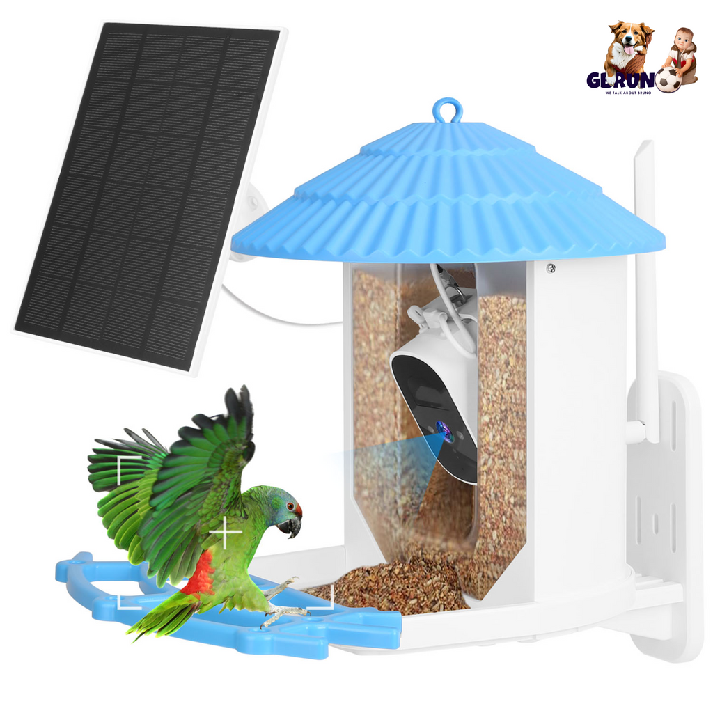 Solar Powered Smart Bird Feeder 2K Bird Watching Camera With PIR Motion AI Birds Species Identify Two-Way Audio Real-Time App Notification Capture Vid