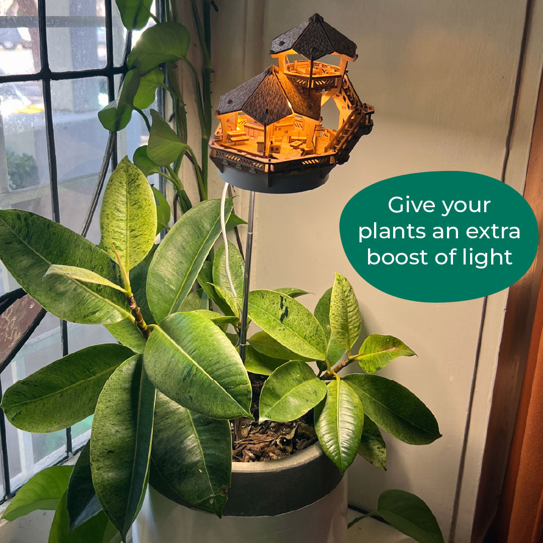 Island Cabana + Grow Light
