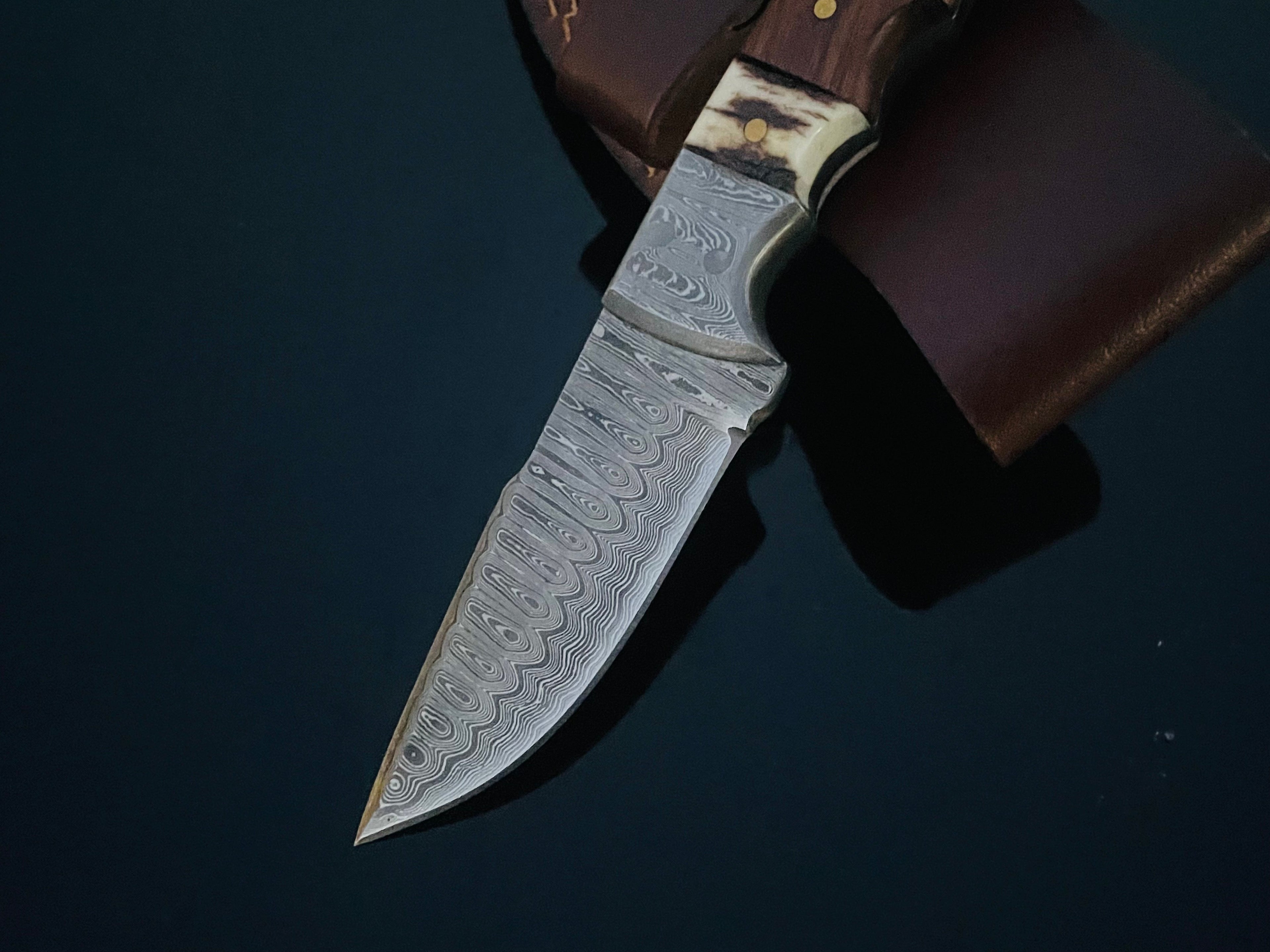 DAMASCUS STEEL FIXED BLADE KNIFE WITH WALNUT & STAG HORN HANDLE HUNTING KNIFE MINI TD-159X