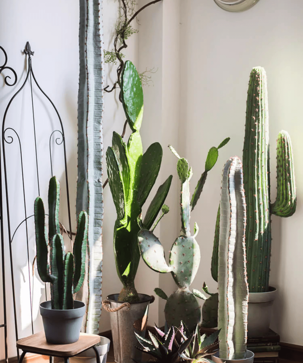 Artificial Cactus in Pot Various Styles