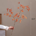 Autumn Pomegranate Leaf Stem