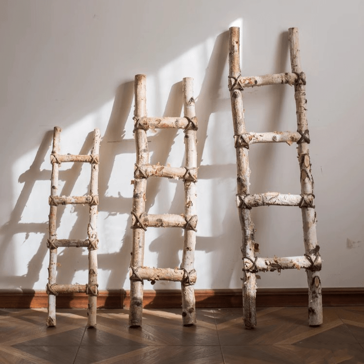 White Birch Wood Decorative Ladder