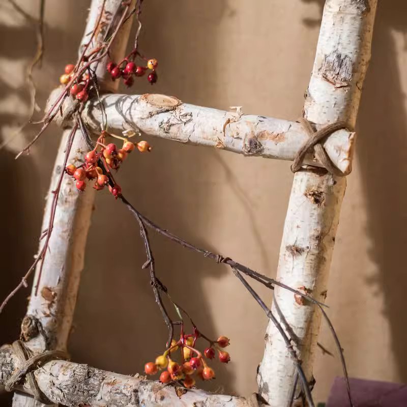 White Birch Wood Decorative Ladder