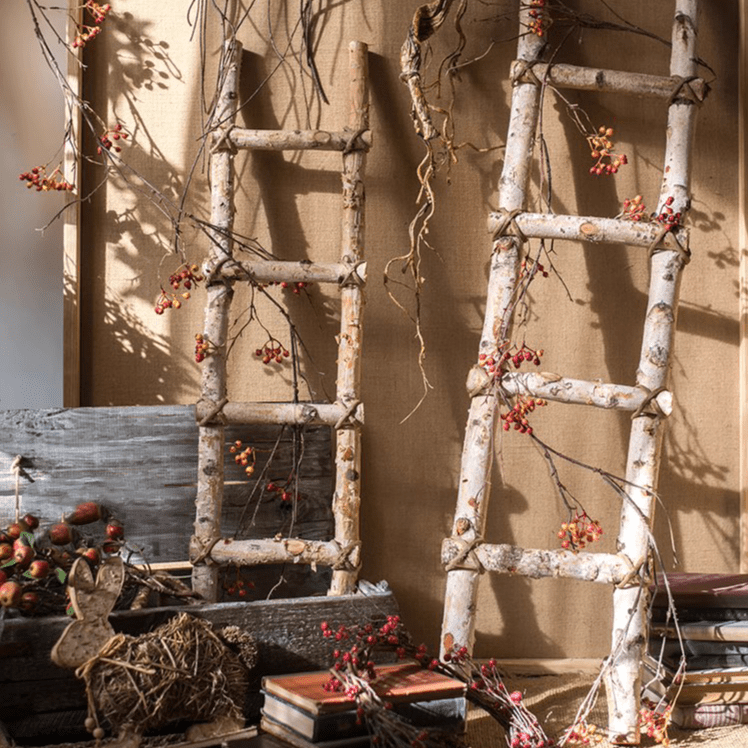 White Birch Wood Decorative Ladder