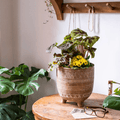 Bohemian Red Clay Planter