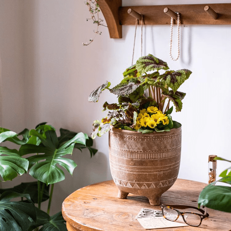 Bohemian Red Clay Planter
