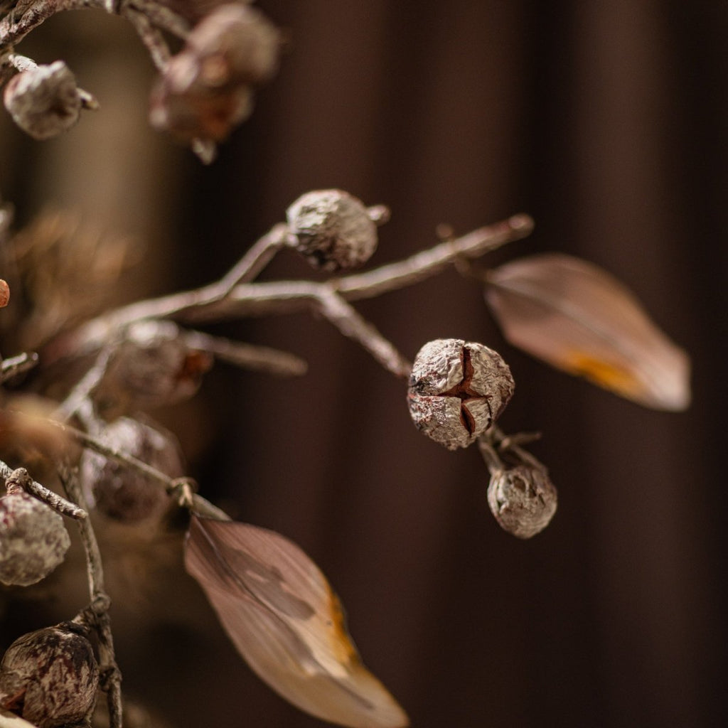 Brown Faux Pod Branch with Leaves 43" Tall