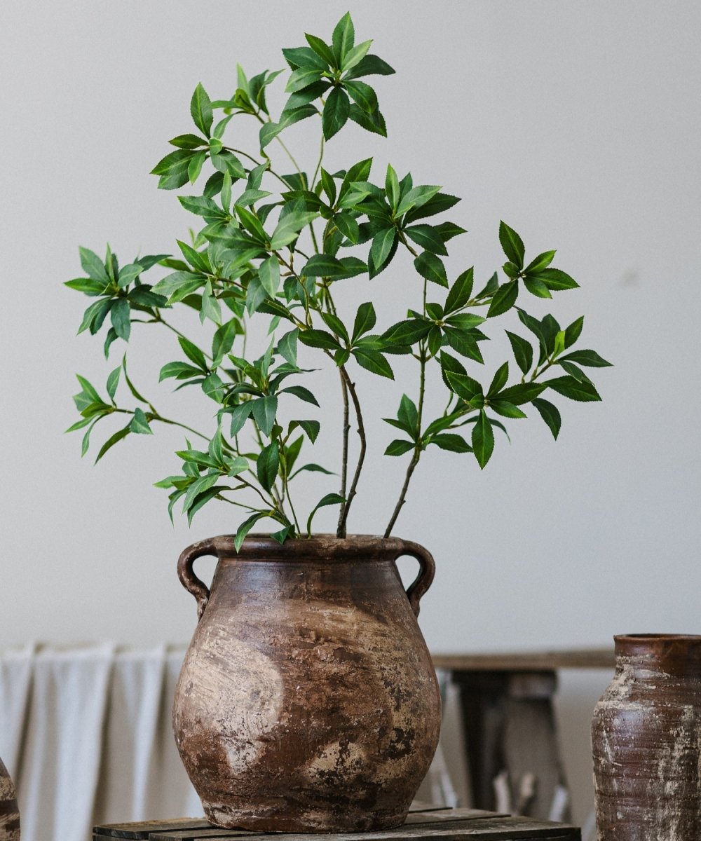 Restoration Brown Clay Pot