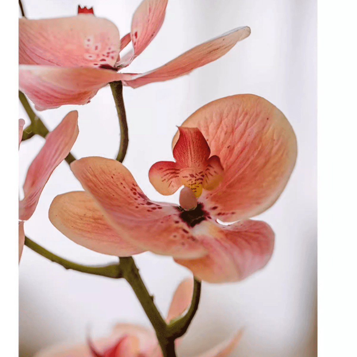 Artificial Butterfly Orchid Stem in Pink 27.5" Tall