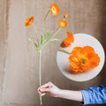Silk Common Poppy Flower Stem 22" Tall