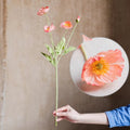 Faux Silk Silk Common Poppy Flower Stem in Pink or White 22" Tall