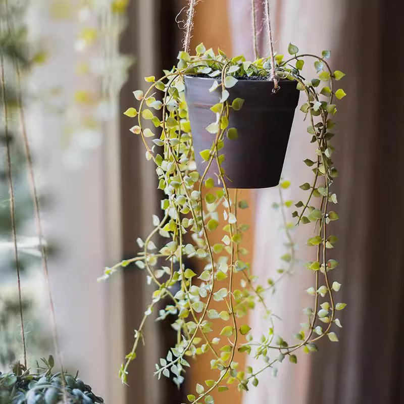 Hanging Faux Ceropegia Vine in Pot