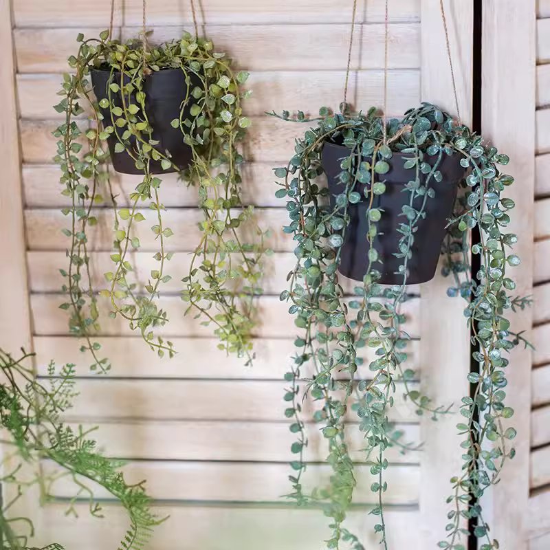 Hanging Faux Ceropegia Vine in Pot