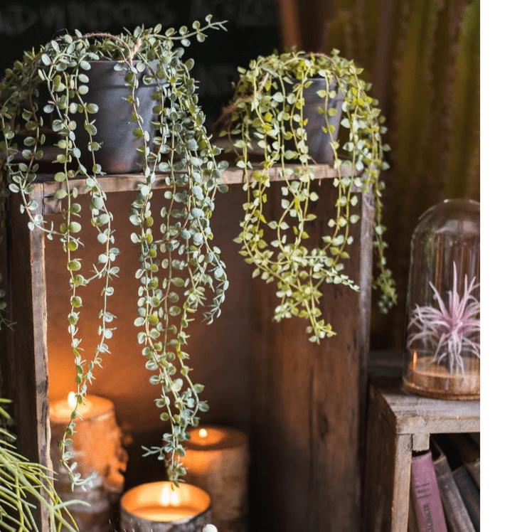Hanging Faux Ceropegia Vine in Pot