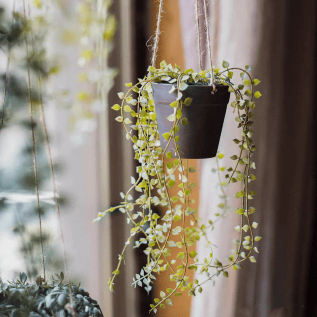 Hanging Faux Ceropegia Vine in Pot
