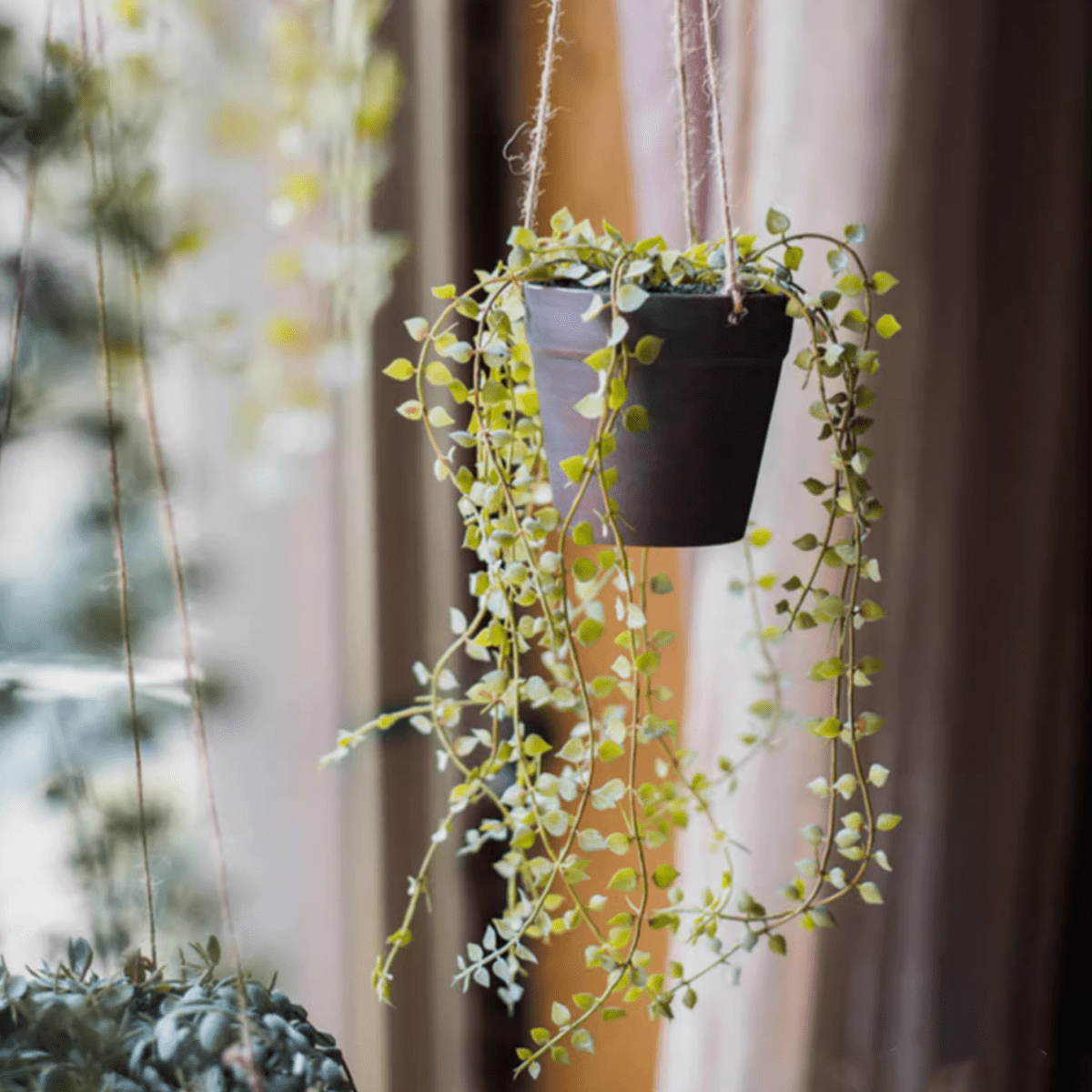Hanging Faux Ceropegia Vine in Pot