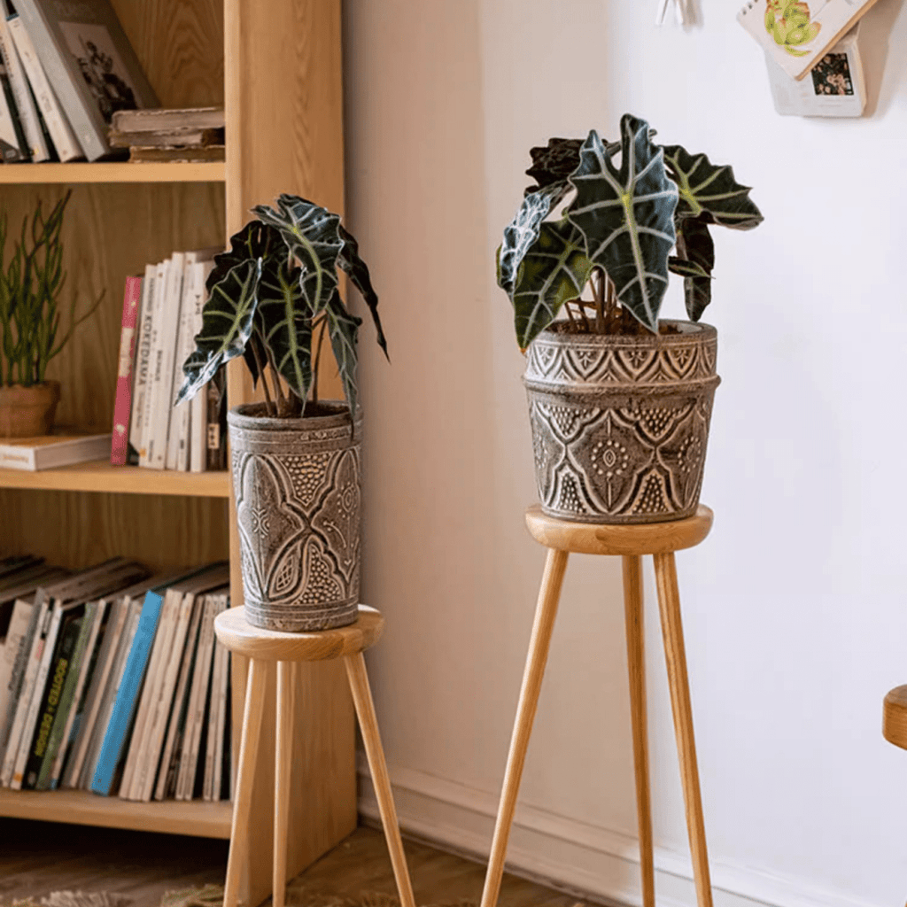 Classic Element Art Planter Clay Flowerpot