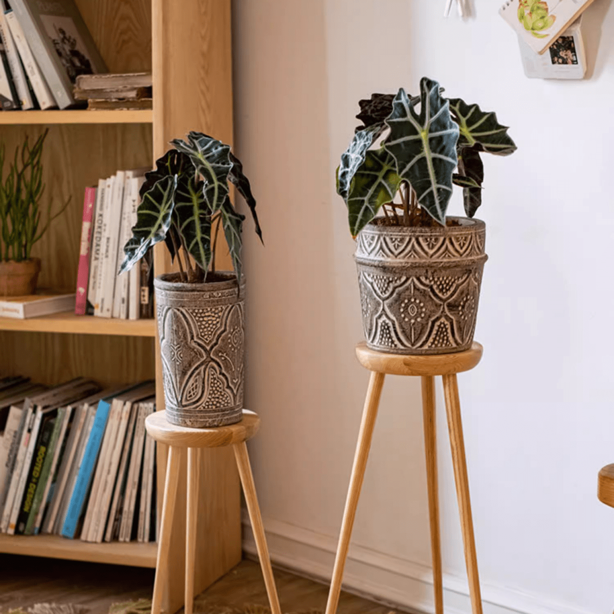 Classic Element Art Planter Clay Flowerpot