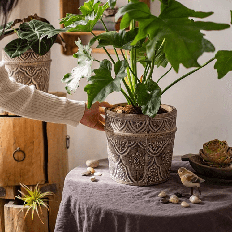 Classic Element Art Planter Clay Flowerpot