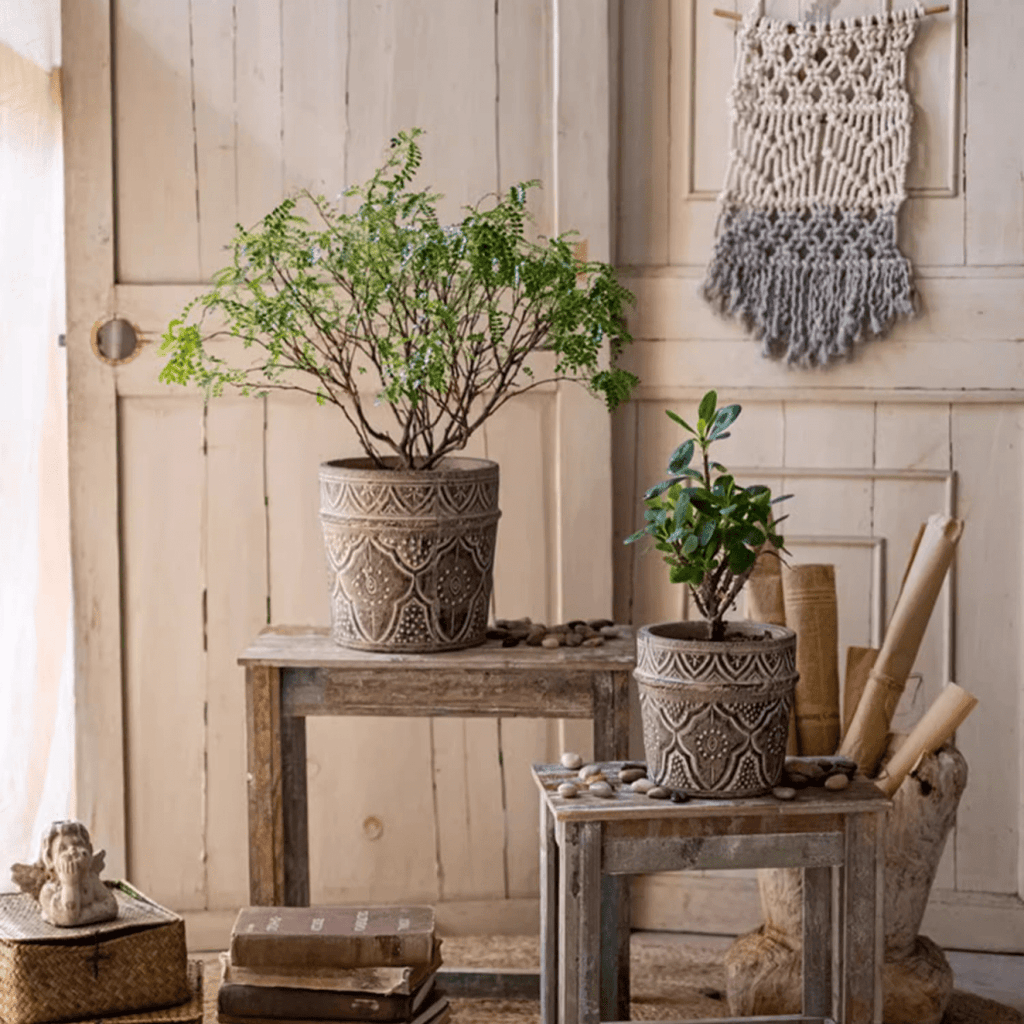 Classic Element Art Planter Clay Flowerpot