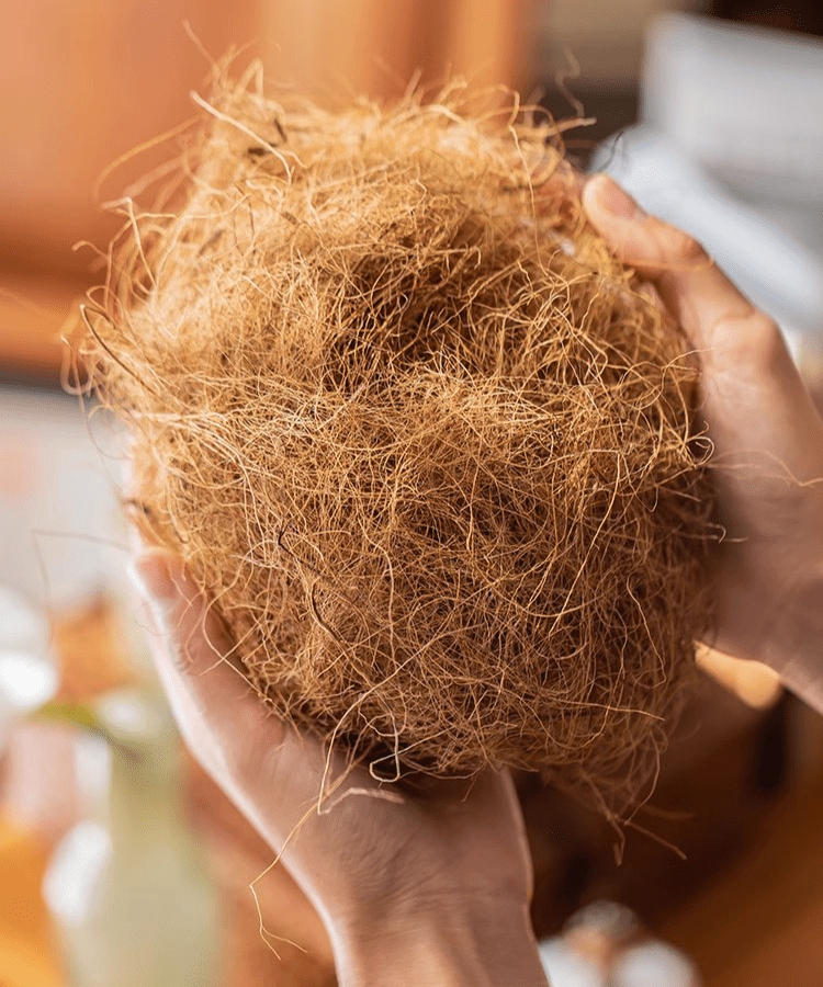 Coconut Fiber Pot Soil Surface Decoration Padding Material Set of 3
