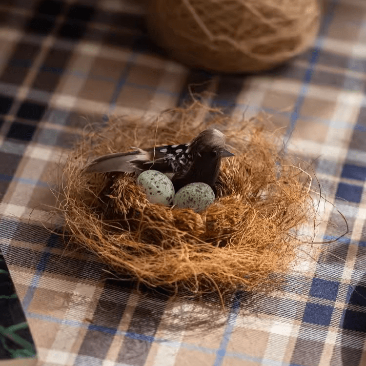 Coconut Fiber Pot Soil Surface Decoration Padding Material Set of 3