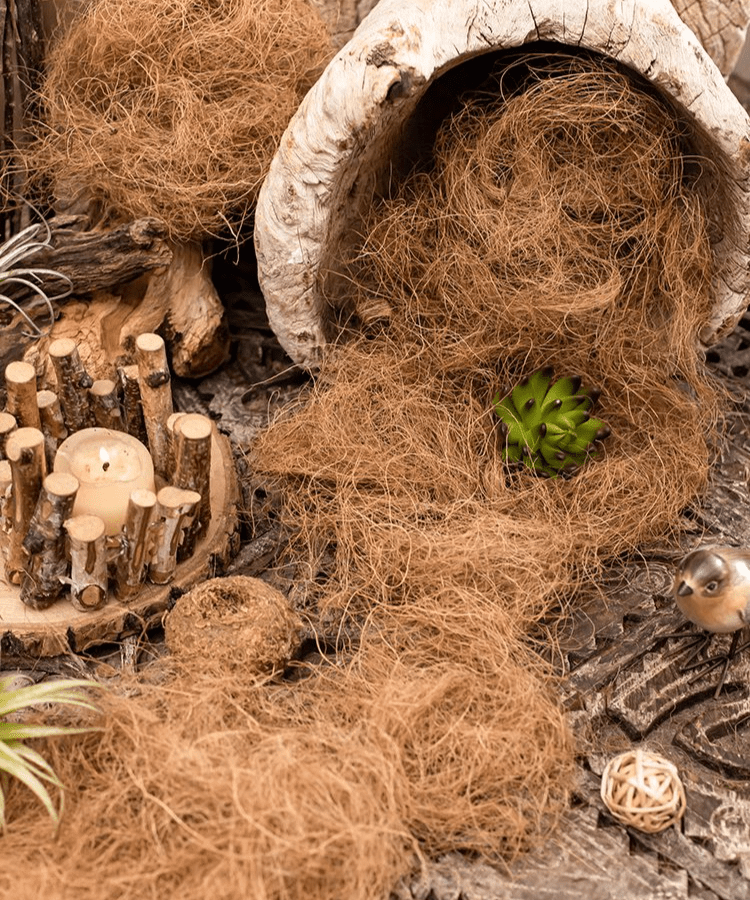 Coconut Fiber Pot Soil Surface Decoration Padding Material Set of 3